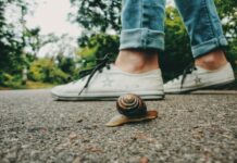 Idea powolnego życia w miastach Cittaslow staje się coraz modniejsza