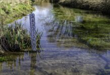 Hydrolog alarmuje: susza zagraża polskim rzekom; pustynnieją obszary kilku regionów