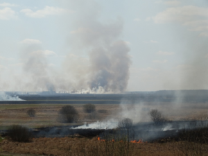 Wzrasta liczba pożarów łąk i nieużytków