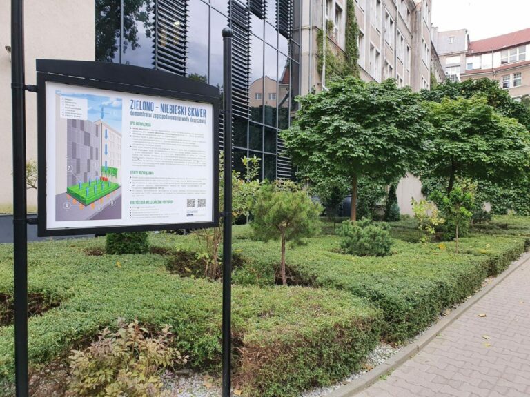Wrocław. Ponad pół miliona zł dla programu 