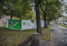 Budowa ogrodu deszczowego