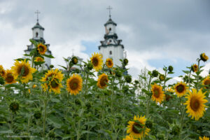 Łąki kwietne wizytówką Lublina - pojawią się i w tym roku