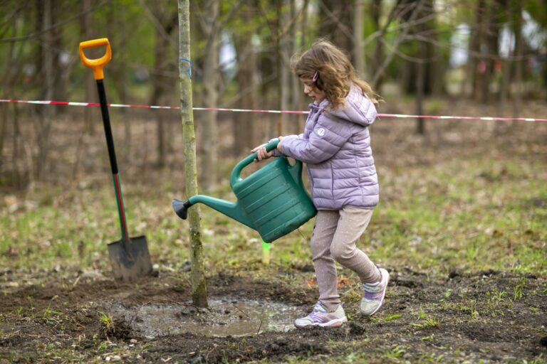 Wrocław: 300 drzew zazieleniło park na Brochowie i skwer na Kowalach. Akcja WROśnij we WROcław