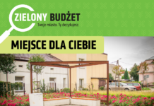 Zielony budżet Lublina – już wiemy co uda się zrealizować!