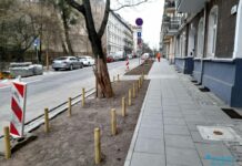 Poznań. Nowe nasadzenia zieleni i chodniki