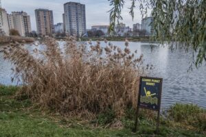 Cztery nowe czarne punkty wodne na Mazowszu