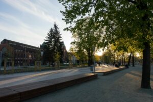 Planowanie nasadzeń a skuteczny filtr zanieczyszczeń