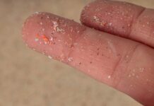 Mikroplastik w przestrzeni miasta