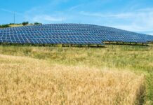 Odnawialne źródła energii drogą do pełnej zeroemisyjności
