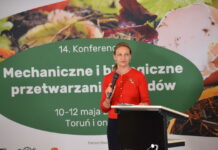 Odwrócona piramida wprowadzania sytemu ROP