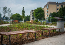 Nowy kieszonkowy park w Warszawie