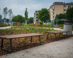 Nowy kieszonkowy park w Warszawie