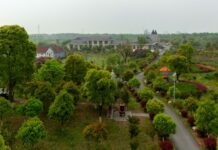 Zasady usuwania drzew lub krzewów przez wspólnoty mieszkaniowe
