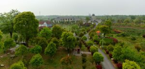 Zasady usuwania drzew lub krzewów przez wspólnoty mieszkaniowe