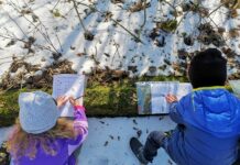 Edukacja przyrodnicza, czyli pozwól mi zrobić, a zrozumiem