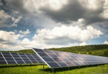 PGE Energia Odnawialna wybuduje 12 farm fotowoltaicznych
