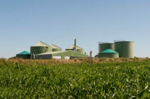 W MKiŚ powołano Zespół ds. zwiększenia udziału biomasy w systemie energetycznym i ciepłowniczym