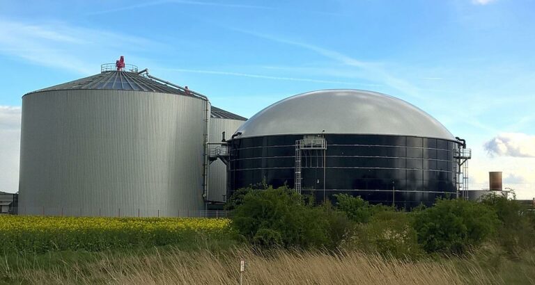Min. Kowalski: polskim biogazem powinna zostać jak najszybciej zastąpiona część importowanego gazu ziemnego