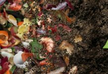 To obecnie priorytet: bioodpady wsparciem dla rolnictwa i energetyki