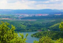 Nowy status lasów przy miastach i uzdrowiskach