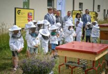 O miodzie, recyklingu i znaczeniu pszczół