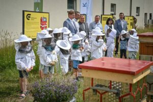 O miodzie, recyklingu i znaczeniu pszczół