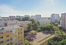 We Włocławku więcej drzew i zieleni