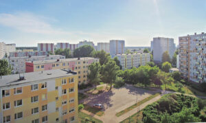 We Włocławku więcej drzew i zieleni