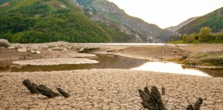 susza kryzys wodny suchy grunt globalne ocieplenie
