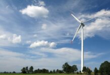 Sondaż: Polacy wolą zieloną energię