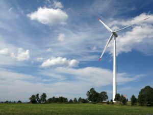 Sondaż: Polacy wolą zieloną energię