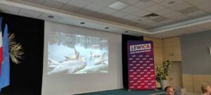 Lewica domaga się dymisji wojewodów i m.in. minister klimatu i środowiska za brak reakcji na czas ws. zanieczyszczenia Odry