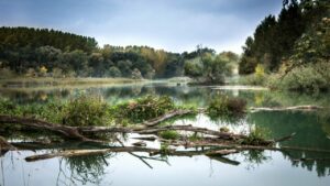 Senacka komisja ds. klimatu bez udziału przedstawicieli rządu. Opozycja - to absolutne lekceważenie