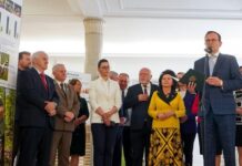 Wernisaż wystawy o polskich lasach w Parlamencie Europejskim Wernisaż wystawy polskich lasów w Europarlamencie
