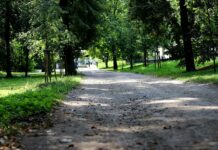Rozpoczyna się pierwszy etap rewaloryzacji Parku Miejskiego w Kaliszu