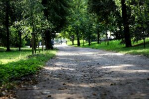 Rozpoczyna się pierwszy etap rewaloryzacji Parku Miejskiego w Kaliszu