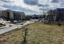 Skwer marzeń i gaj nad skarpą w Lublinie. Konsultacje społeczne