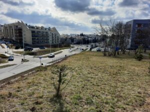 Skwer marzeń i gaj nad skarpą w Lublinie. Konsultacje społeczne