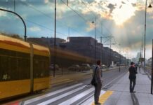 Spór o wycinkę drzew przy tramwaju w kierunku warszawskiego Wilanowa
