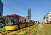 Tramwaje Warszawskie: 426 drzew pod topór "Zielone tory" w Warszawie