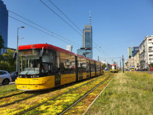 Tramwaje Warszawskie: 426 drzew pod topór
