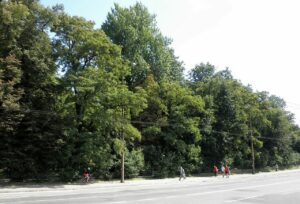 Lubelski Park Bronowicki zyska nowe oblicze