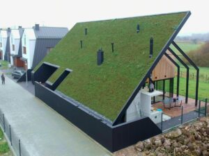 Dobrze skrojony zielony dach