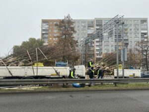 Jesienne nasadzenia w Gdańsku. Przybędzie ponad 600 nowych drzew