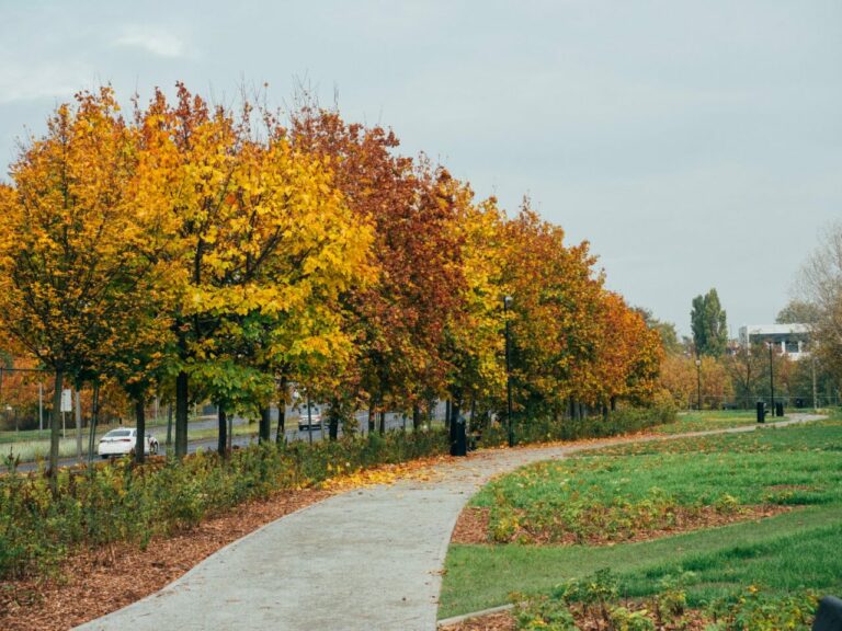 Park im. ks. Tadeusza Kirschke w Poznaniu z nowymi ścieżkami spacerowymi