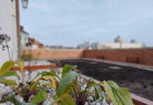 Wiszące Ogrody pod Akacją w Lublinie. Trwa realizacja projektu