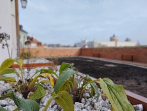Wiszące Ogrody pod Akacją w Lublinie. Trwa realizacja projektu