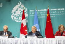COP 15: Apel o szybkie wprowadzenie ROP COP15