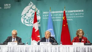 COP 15: Apel o szybkie wprowadzenie ROP
