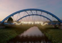 Meandry Warty